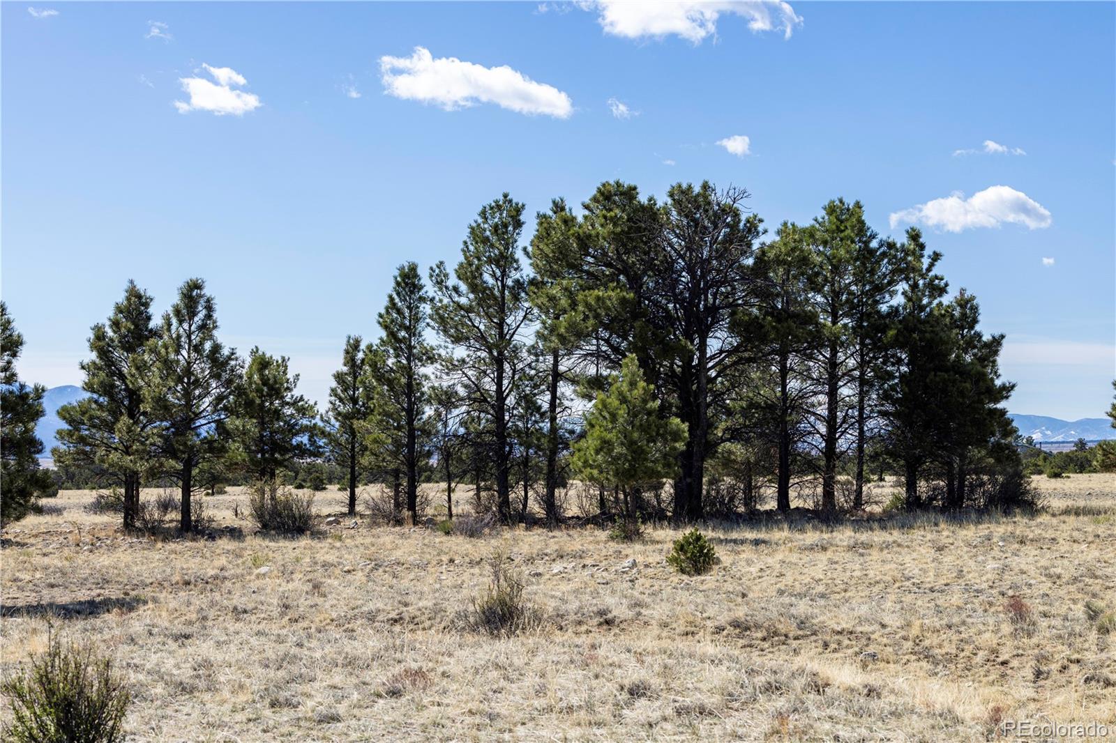tbd County Road 365