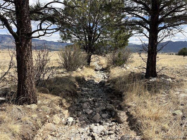 tbd County Road 365