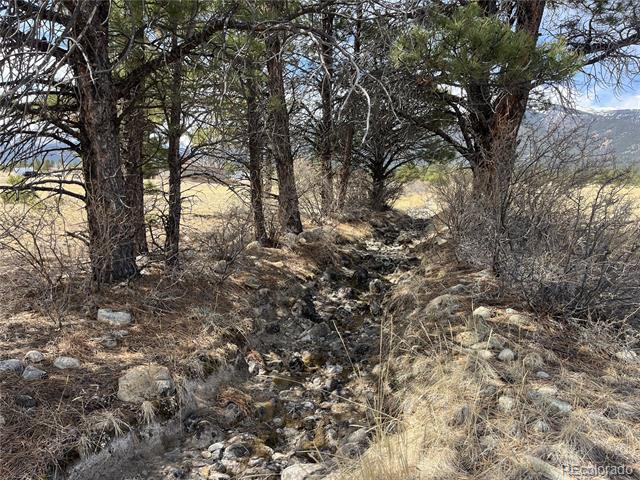tbd County Road 365