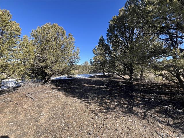 10118 Rawhide Creek Road