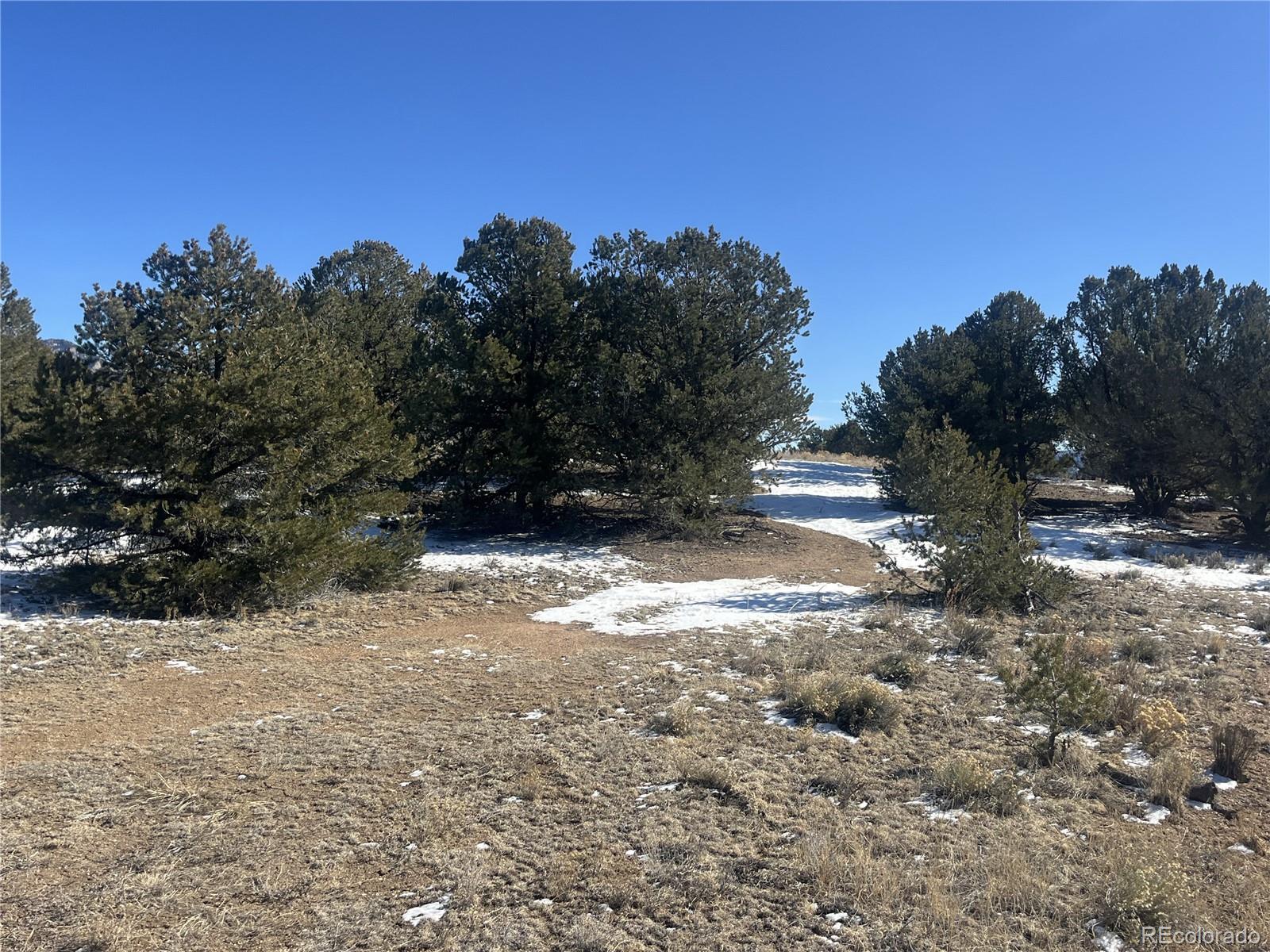 10118 Rawhide Creek Road