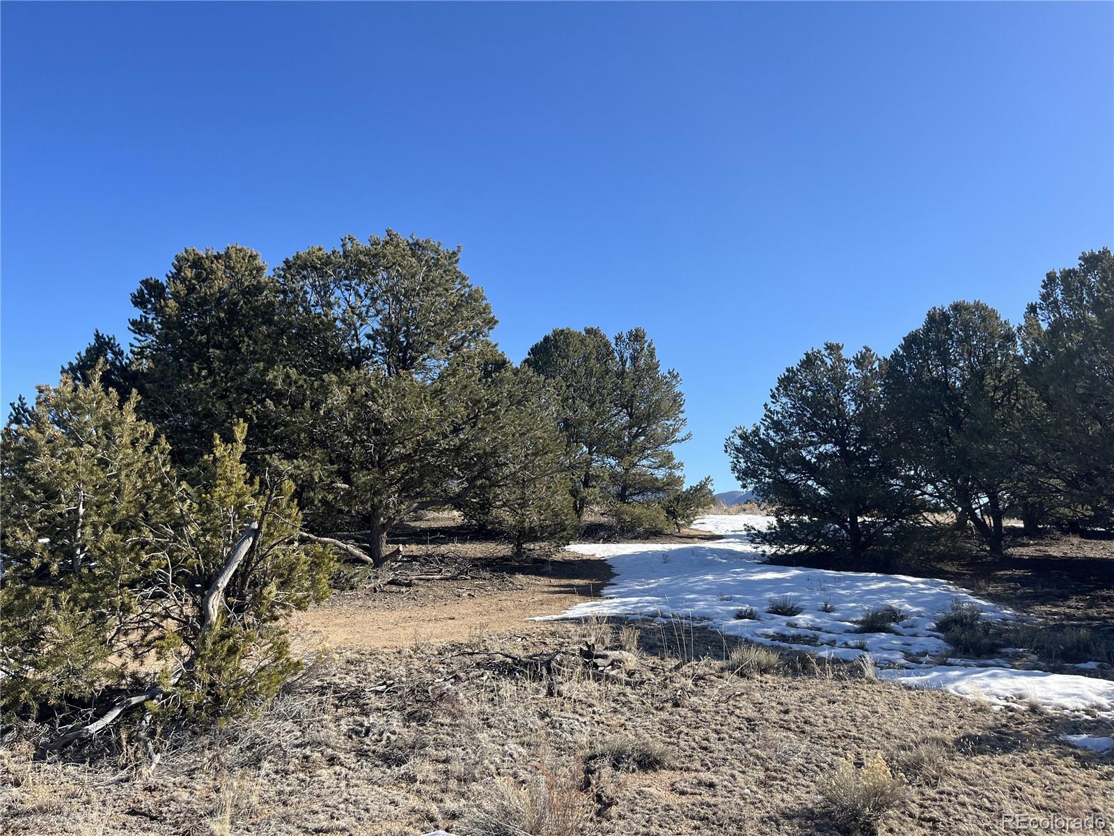 10118 Rawhide Creek Road