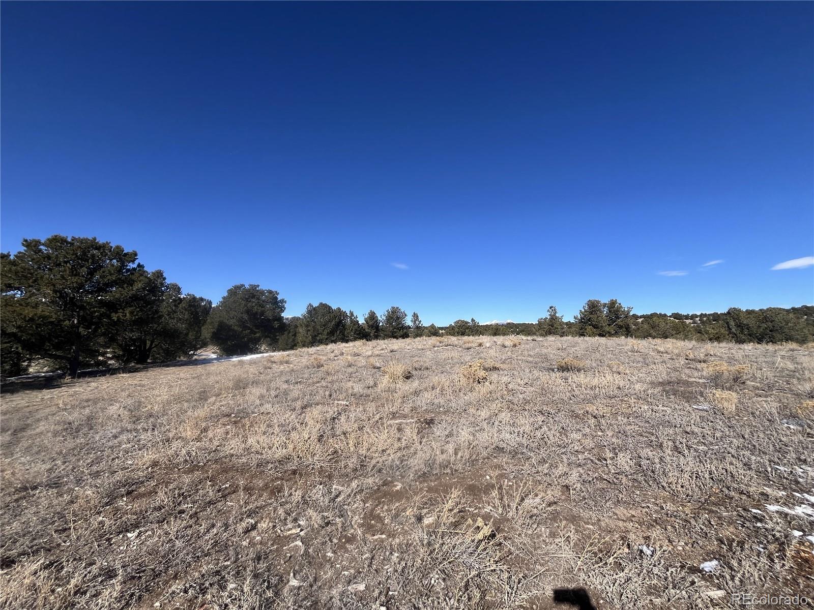 10118 Rawhide Creek Road