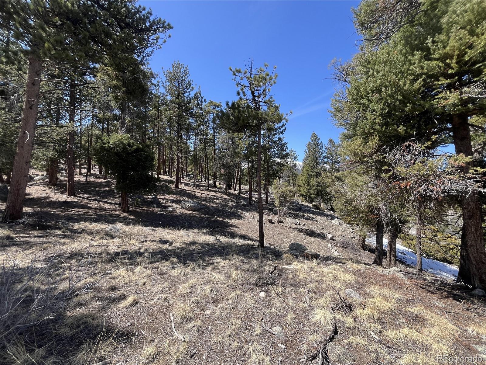 30175 Mountaintop Drive