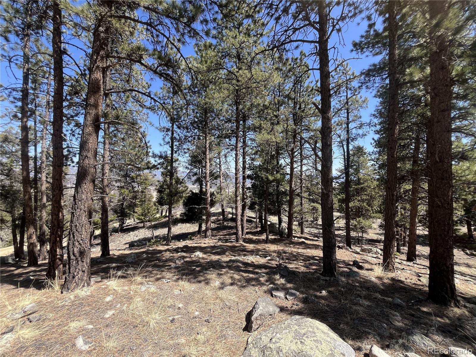 30175 Mountaintop Drive