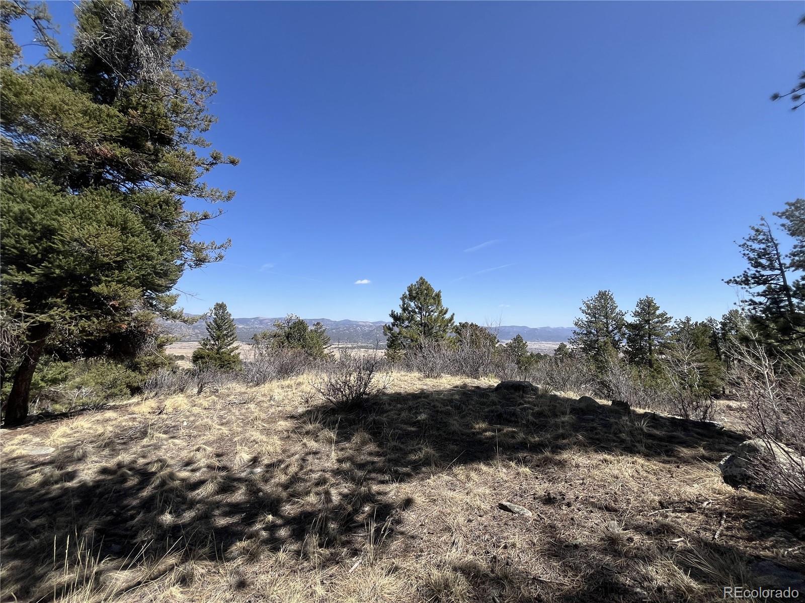 30175 Mountaintop Drive