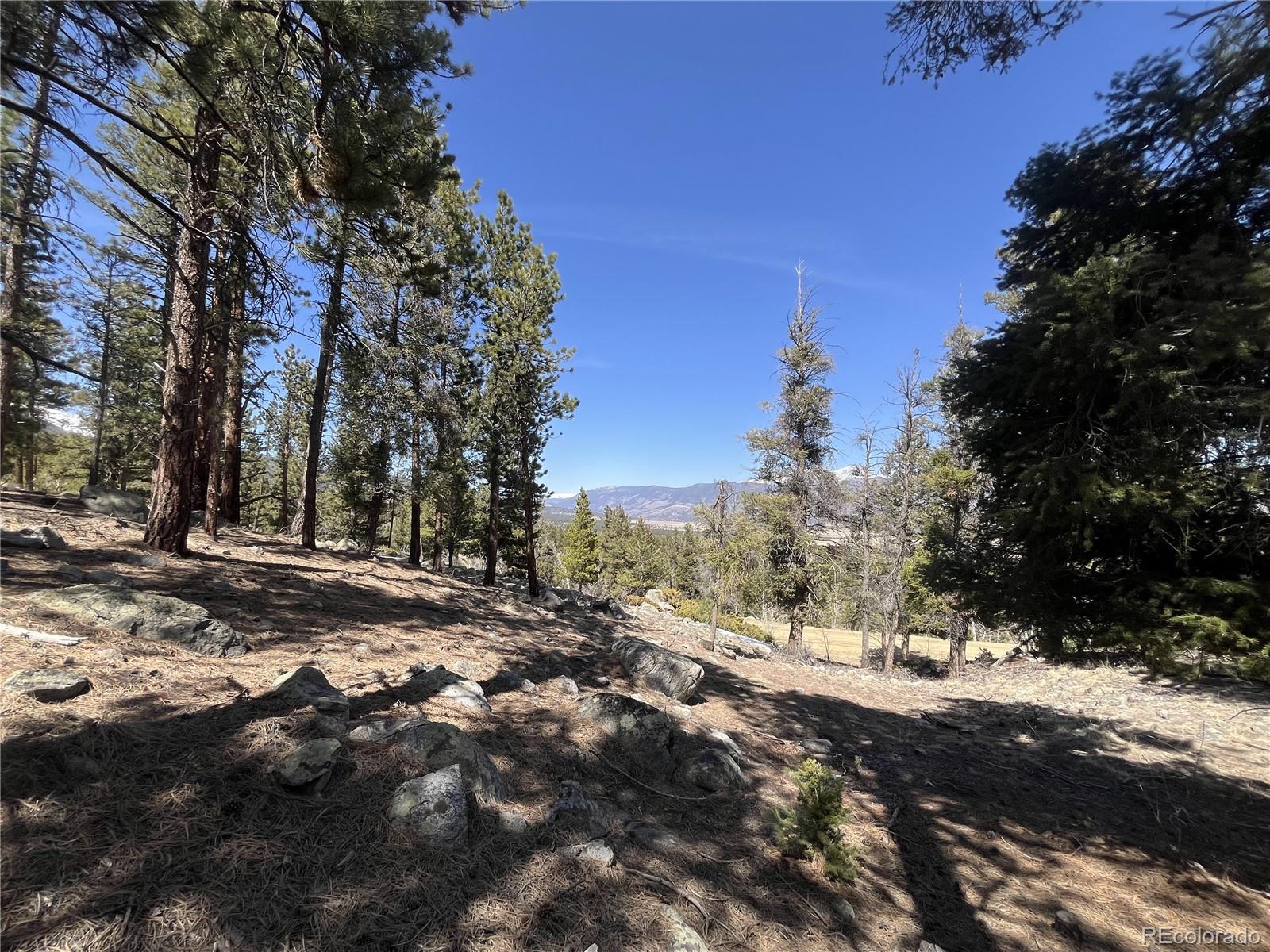 30175 Mountaintop Drive