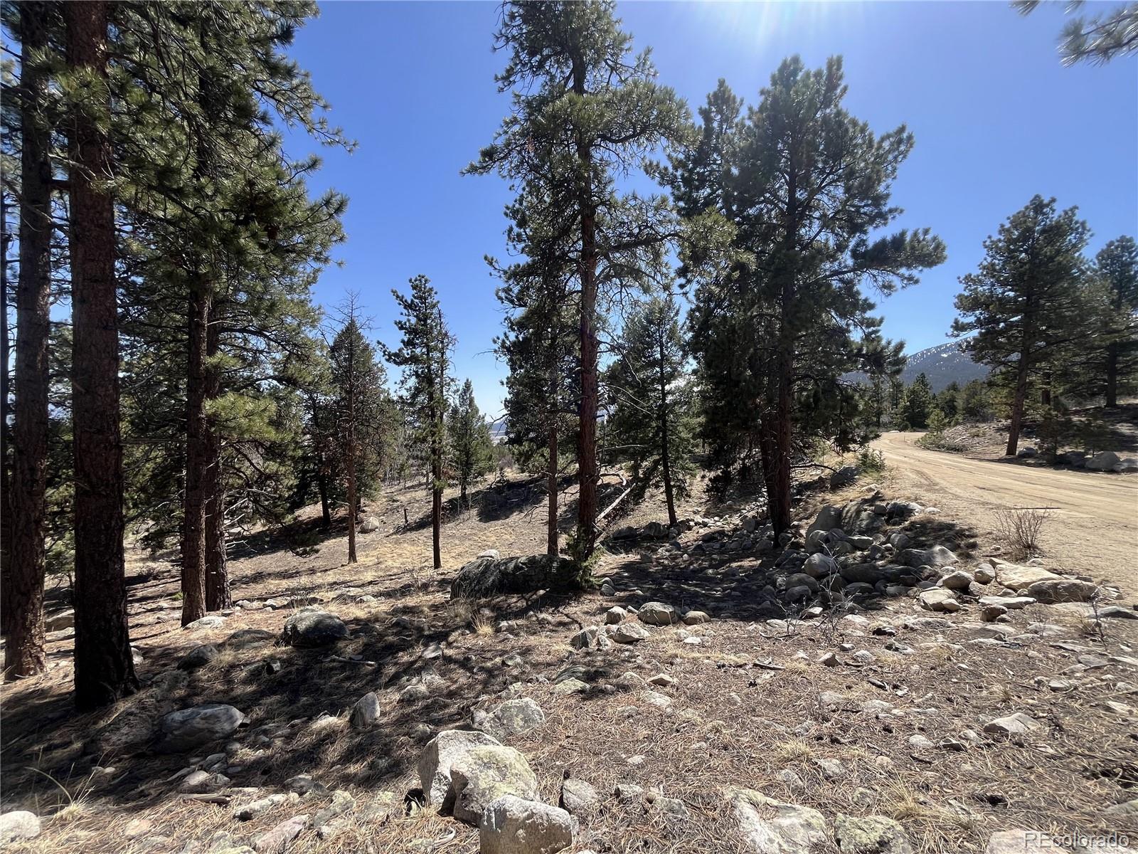 30175 Mountaintop Drive