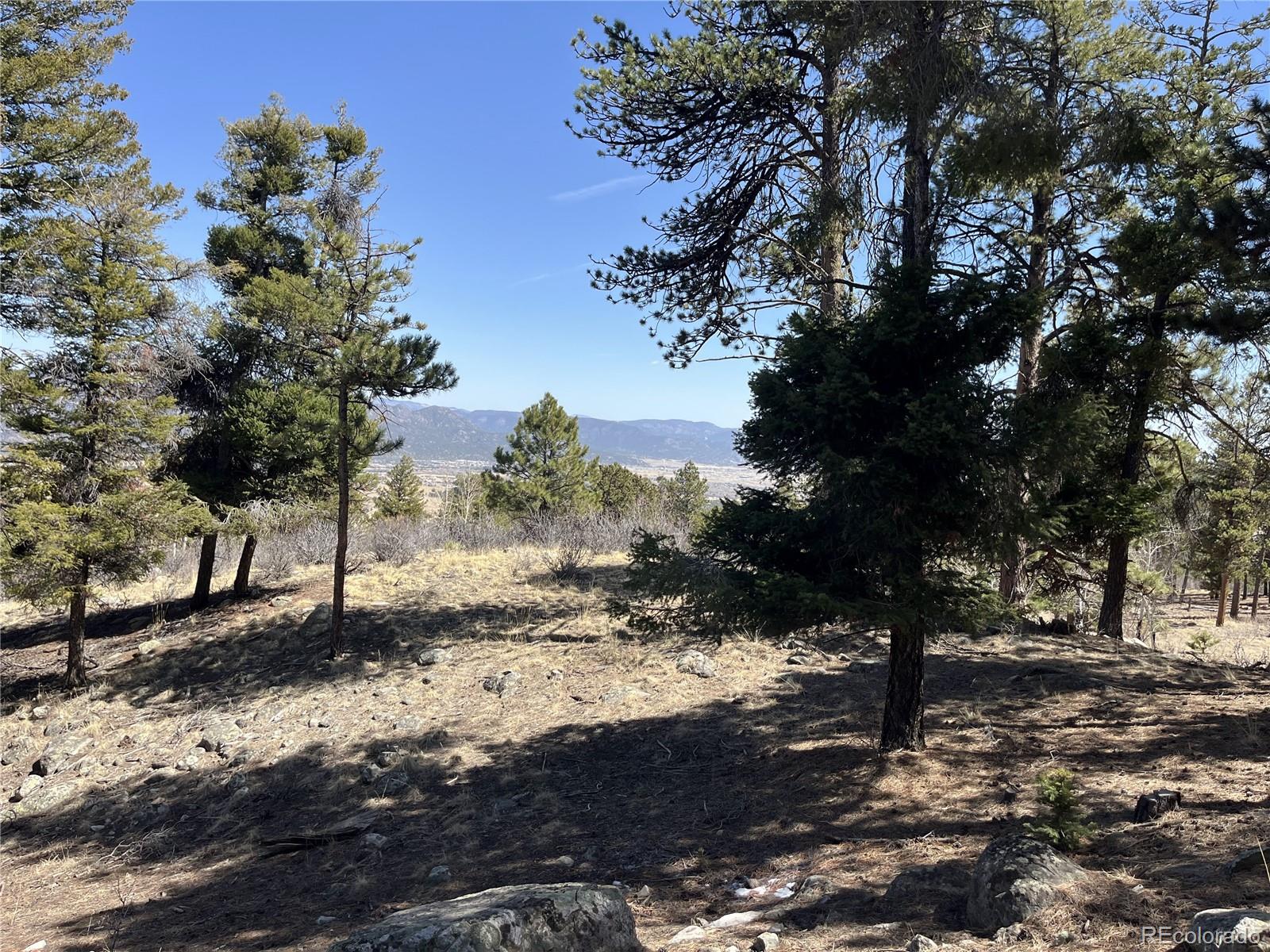 30175 Mountaintop Drive