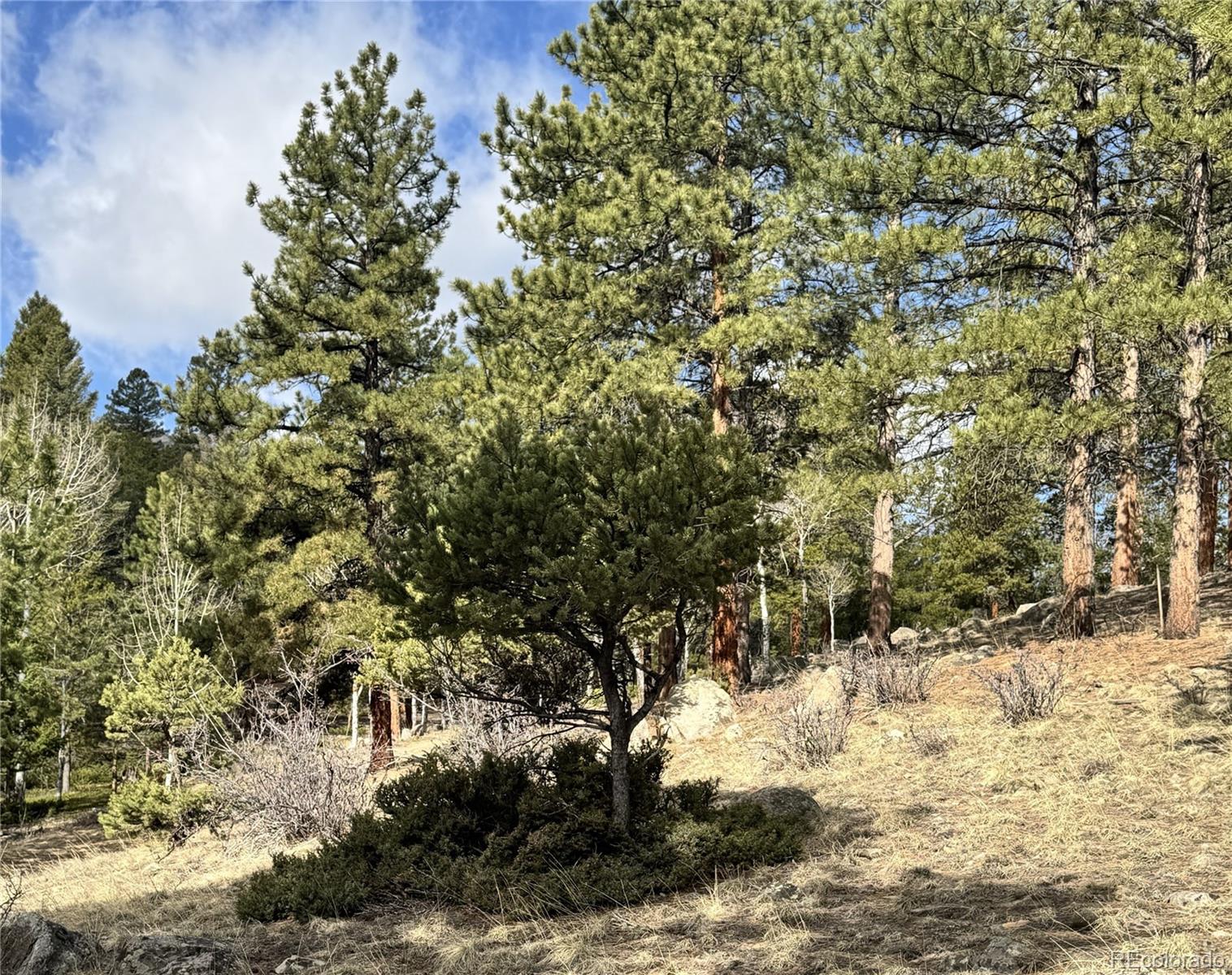 30317 Aspen Turn