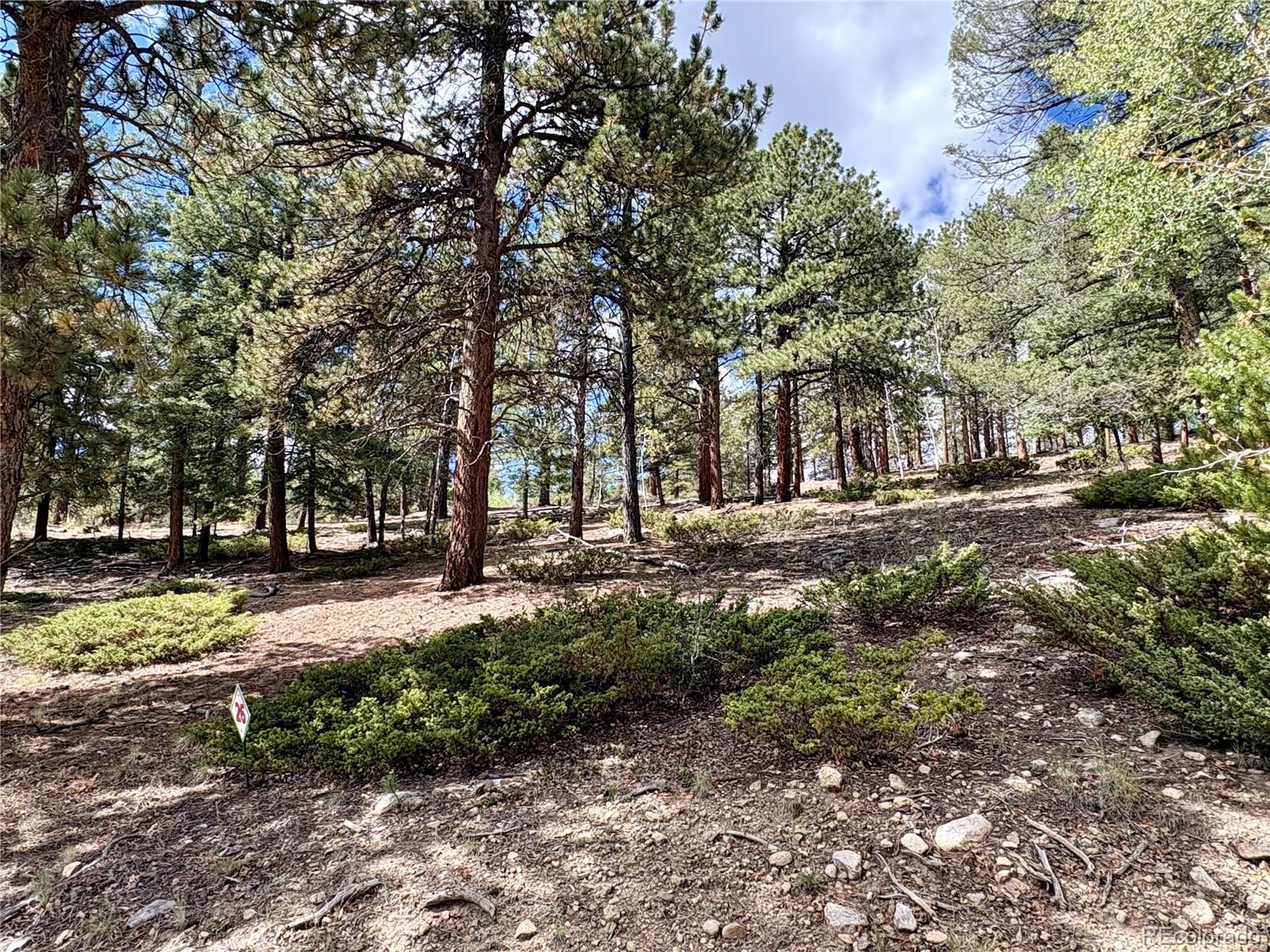 30317 Aspen Turn
