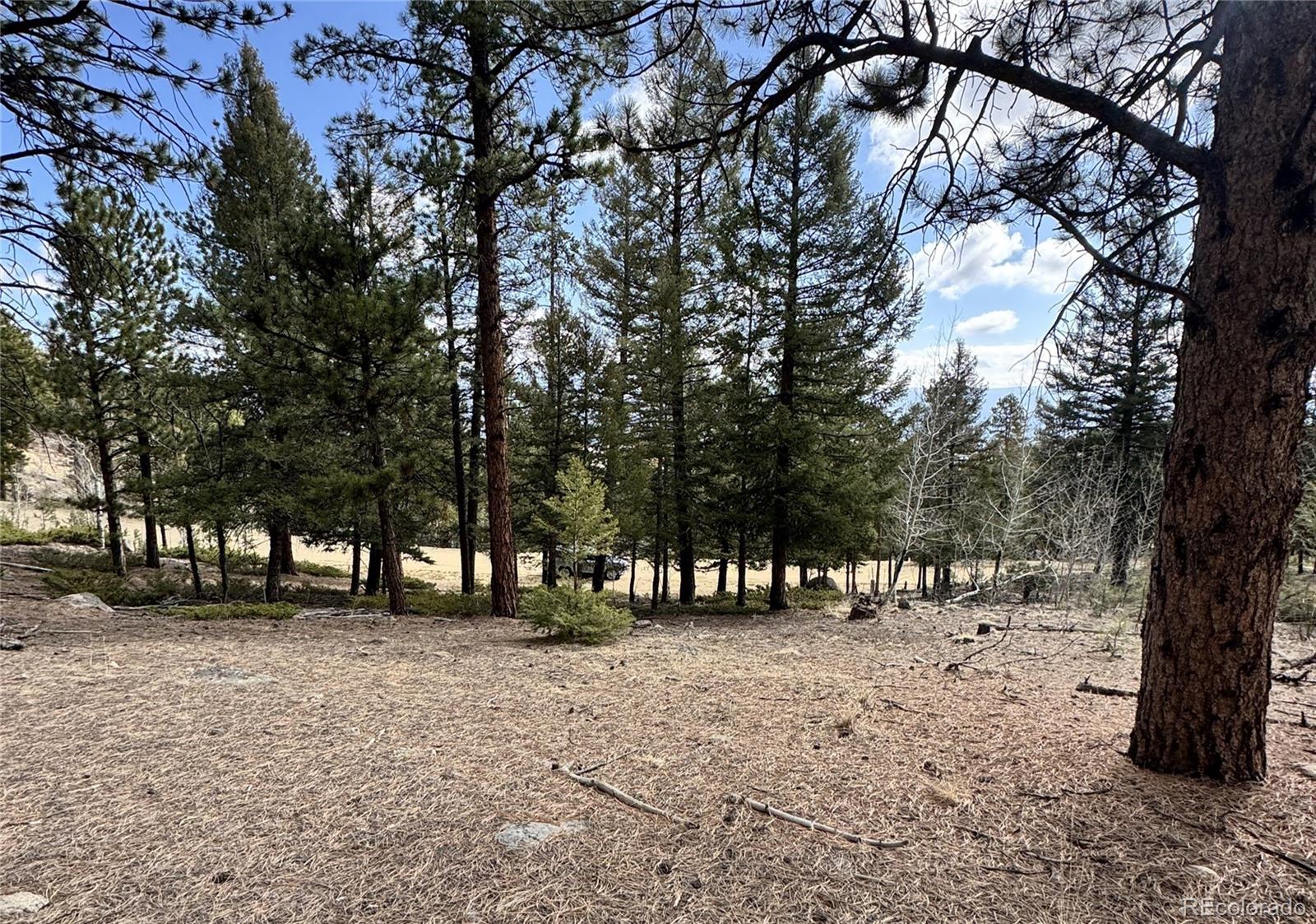 30317 Aspen Turn