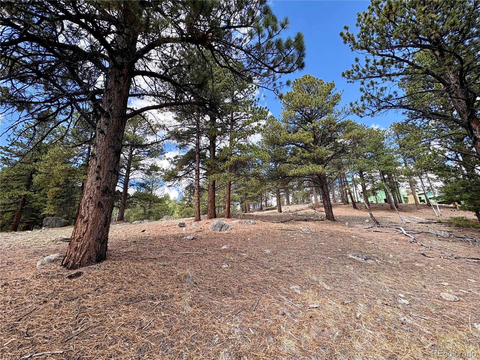 30317 Aspen Turn