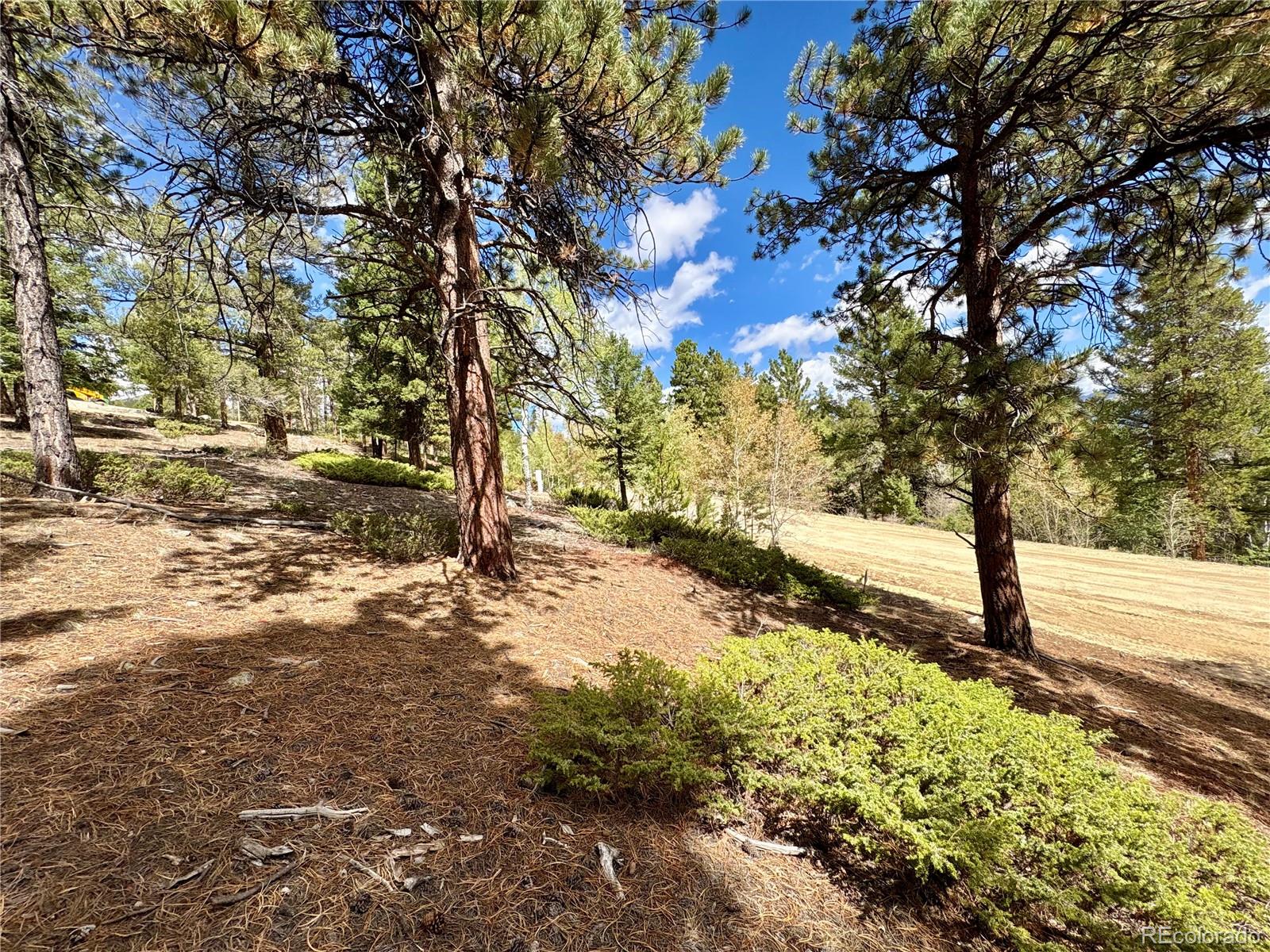 30317 Aspen Turn