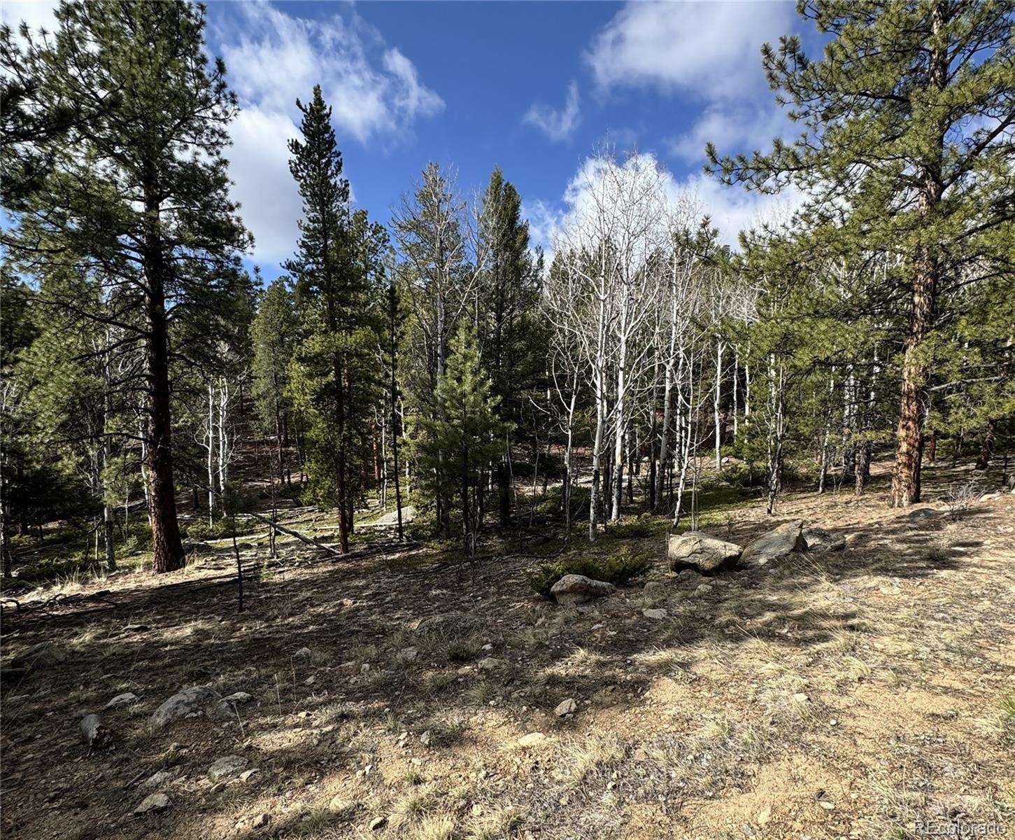 30317 Aspen Turn