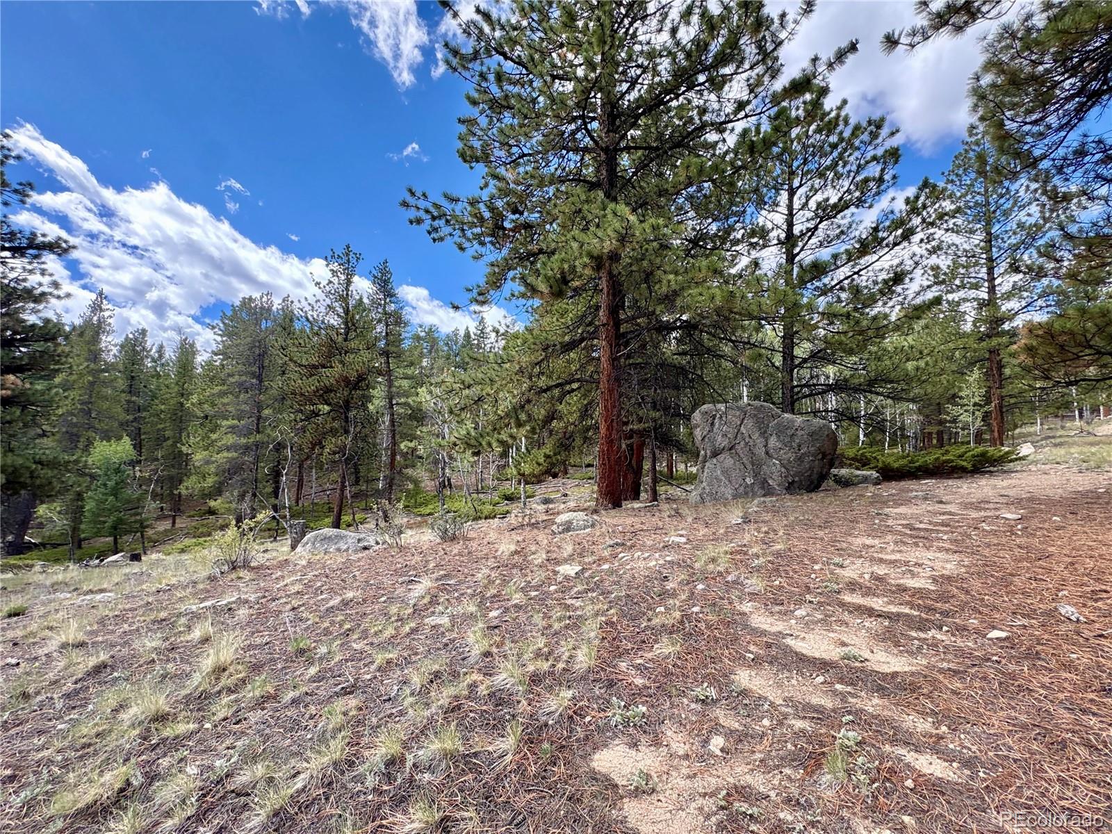 30317 Aspen Turn