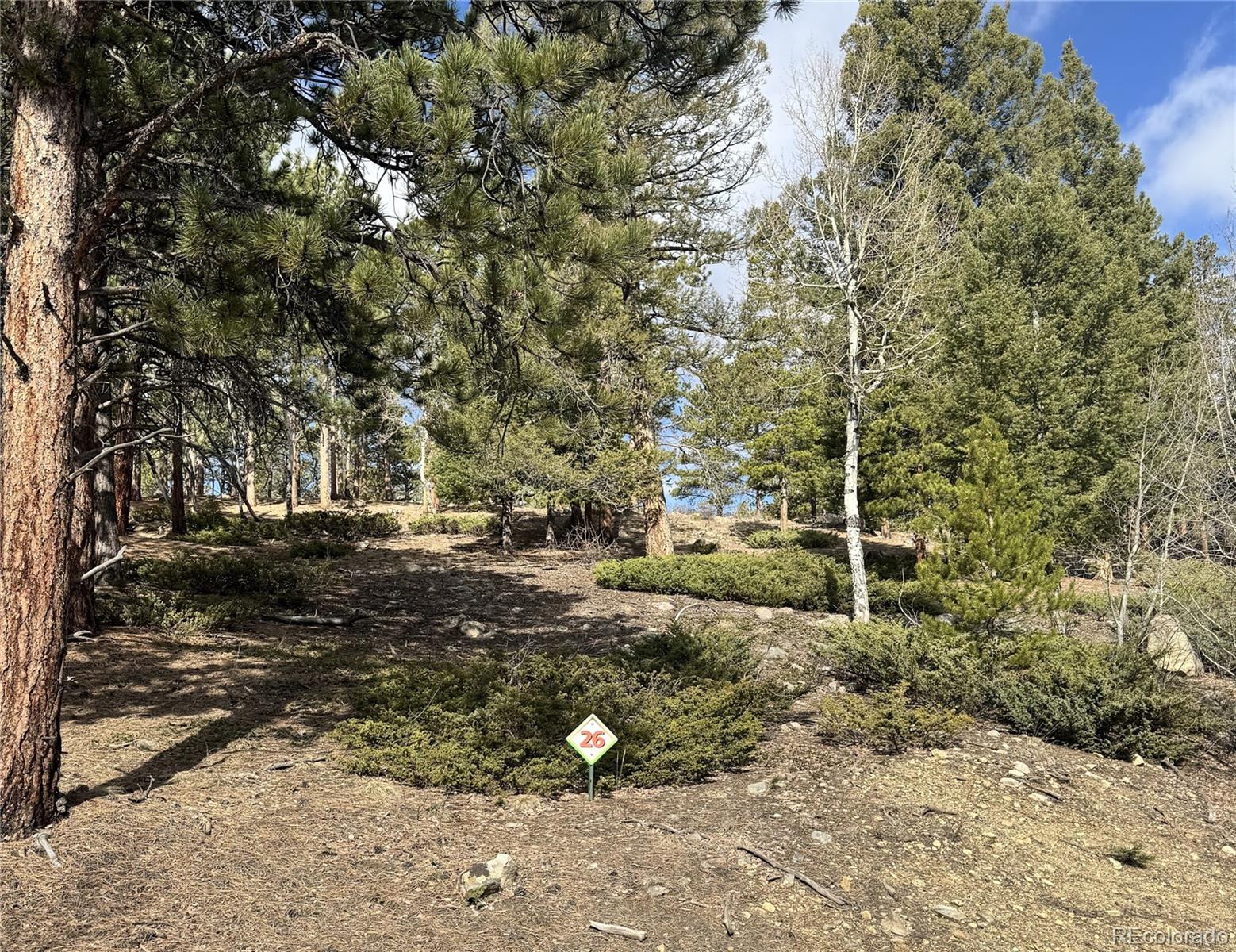 30317 Aspen Turn