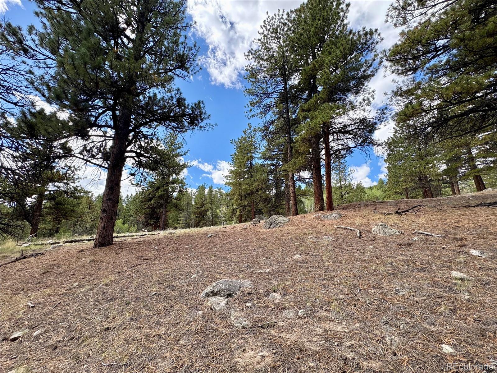 30317 Aspen Turn