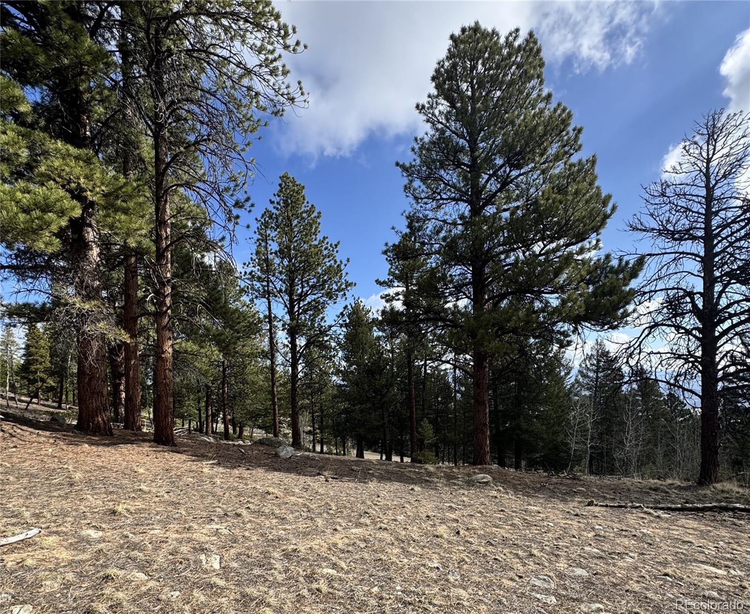 30317 Aspen Turn