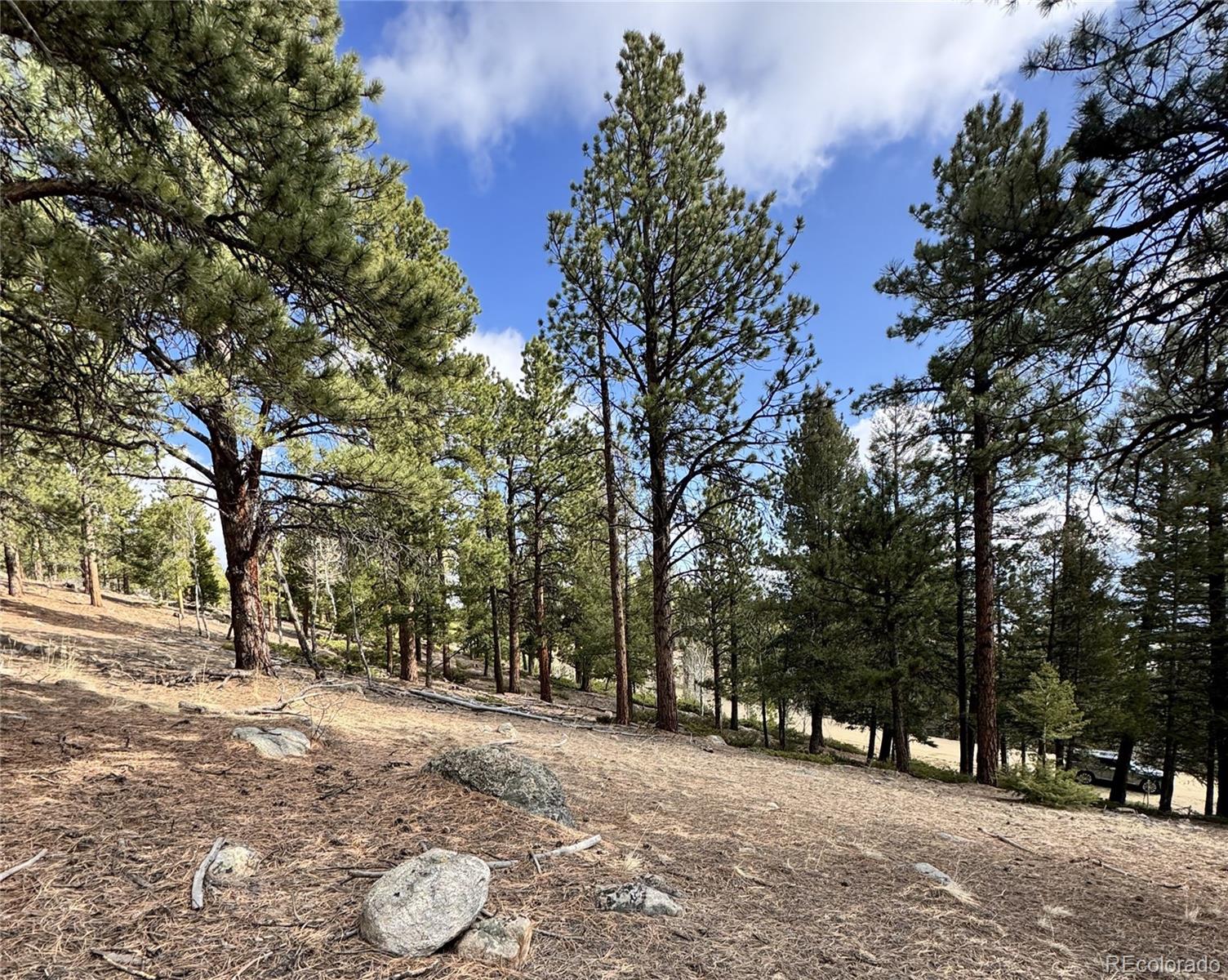 30317 Aspen Turn