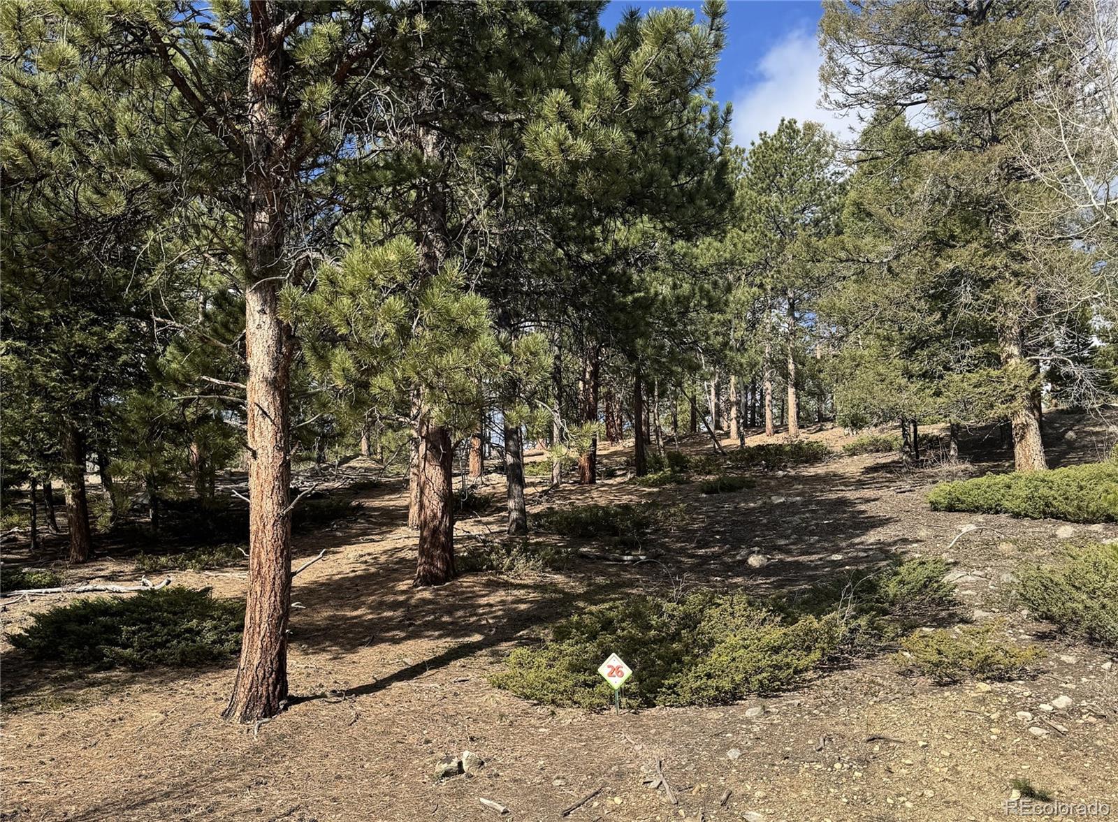 30317 Aspen Turn
