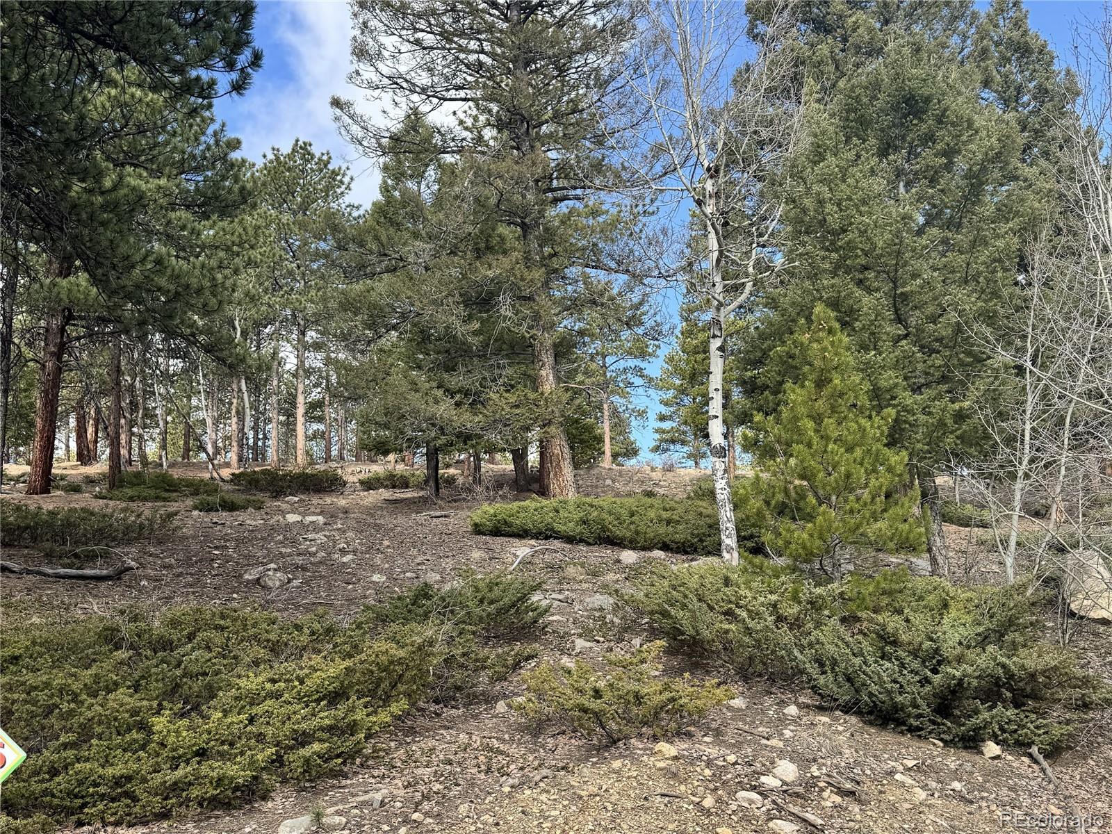 30317 Aspen Turn