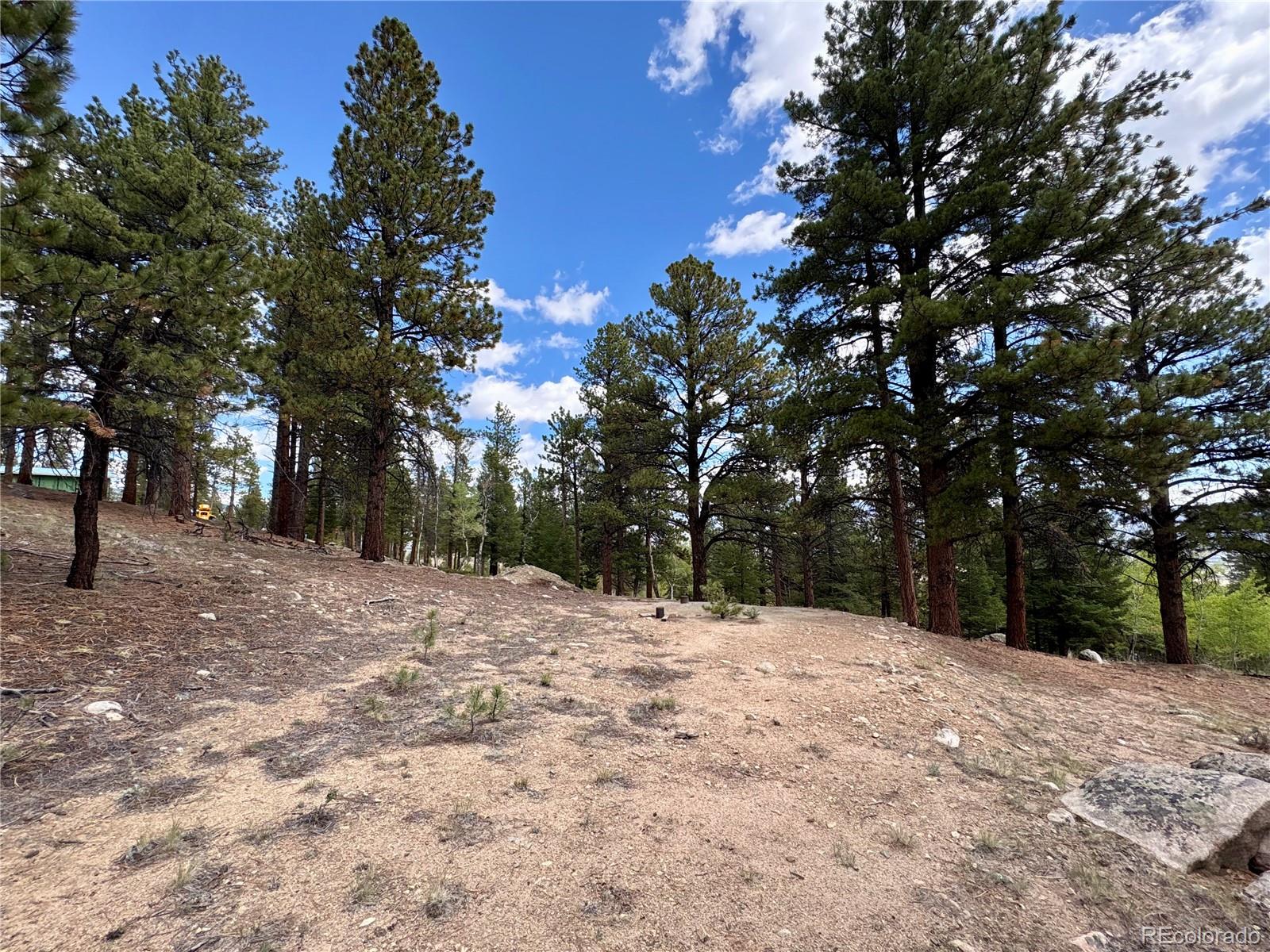 30317 Aspen Turn