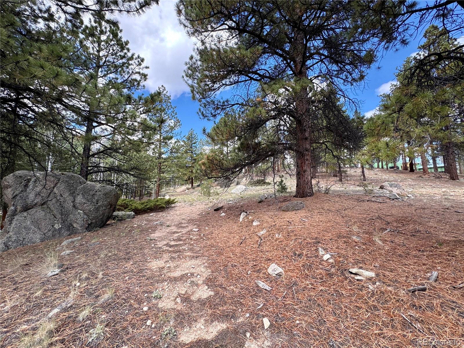 30317 Aspen Turn