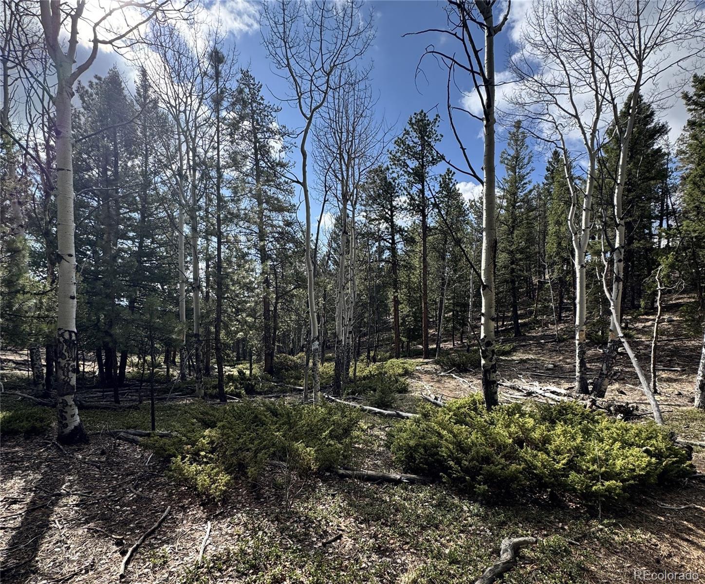 30317 Aspen Turn