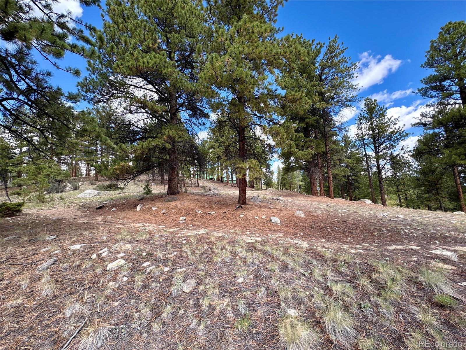 30317 Aspen Turn