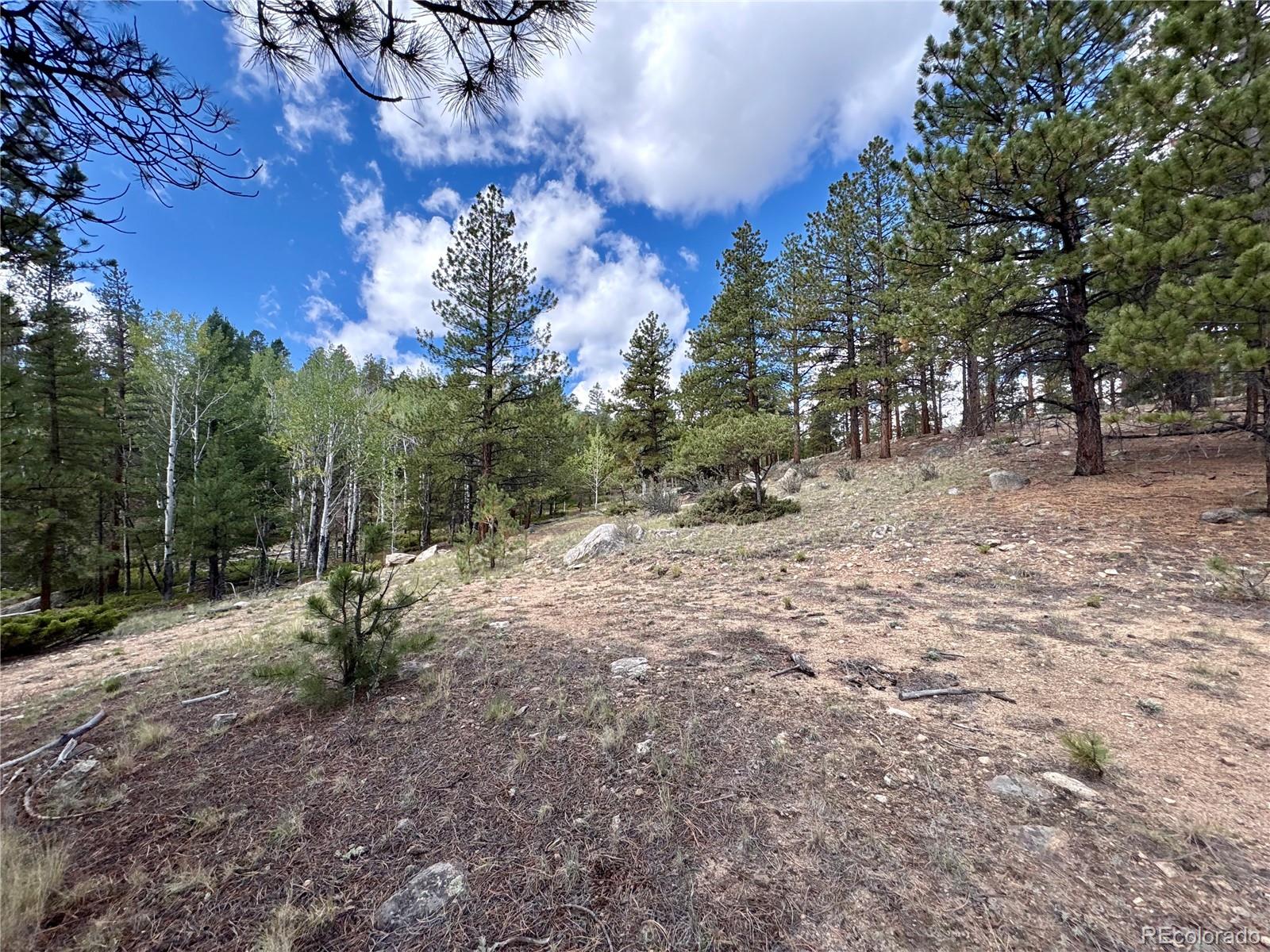 30317 Aspen Turn