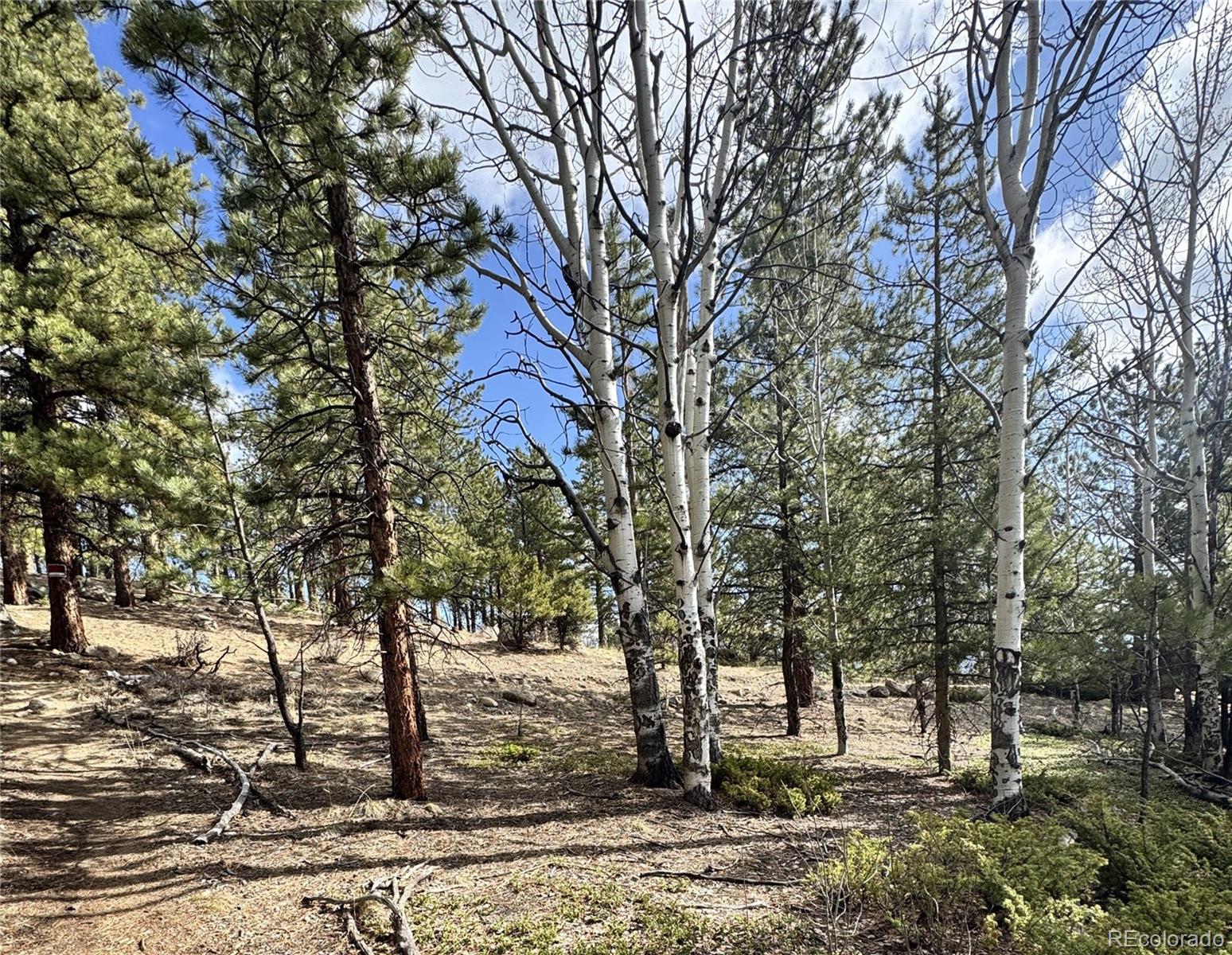 30317 Aspen Turn