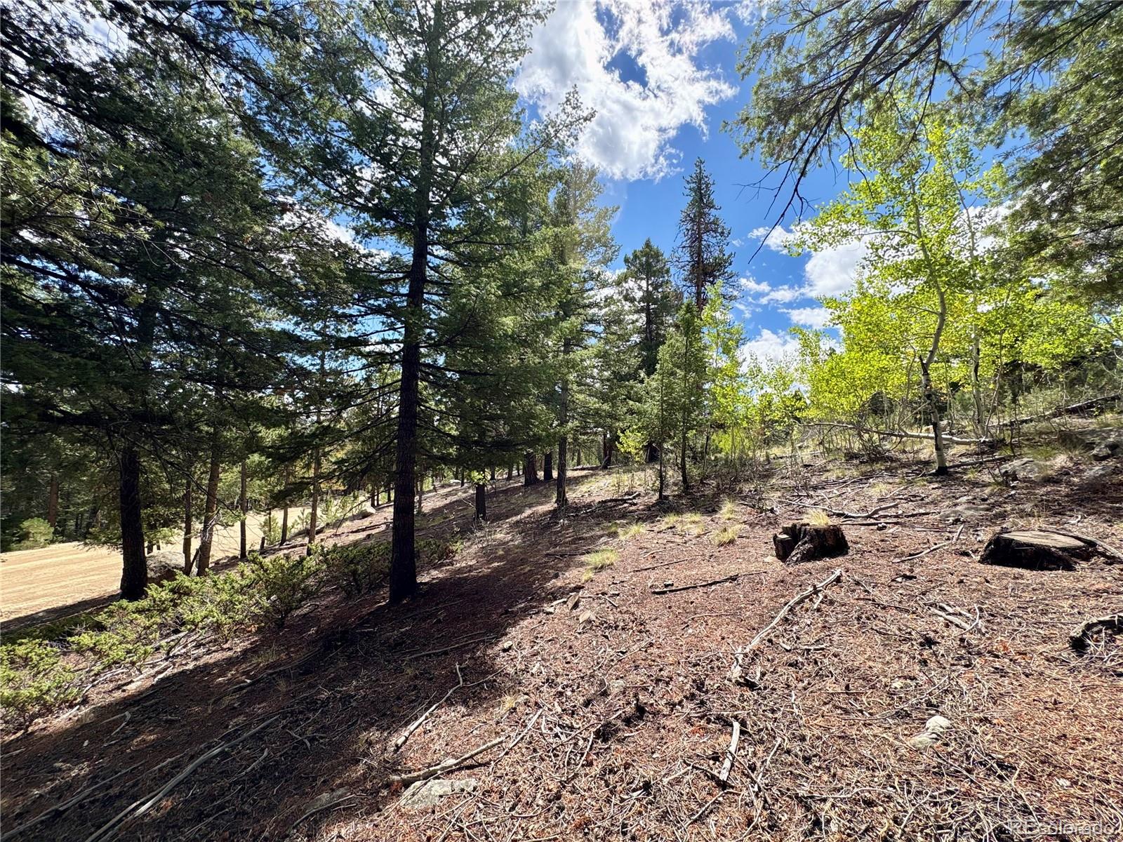 30317 Aspen Turn