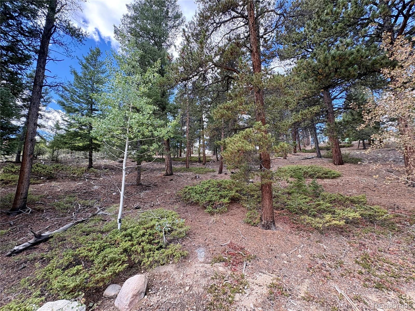 30317 Aspen Turn