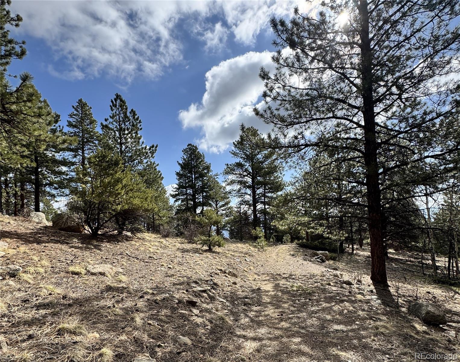 30317 Aspen Turn