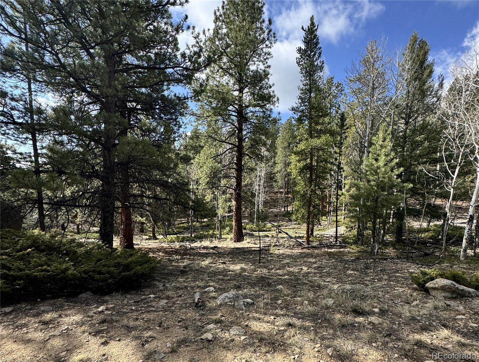 30317 Aspen Turn