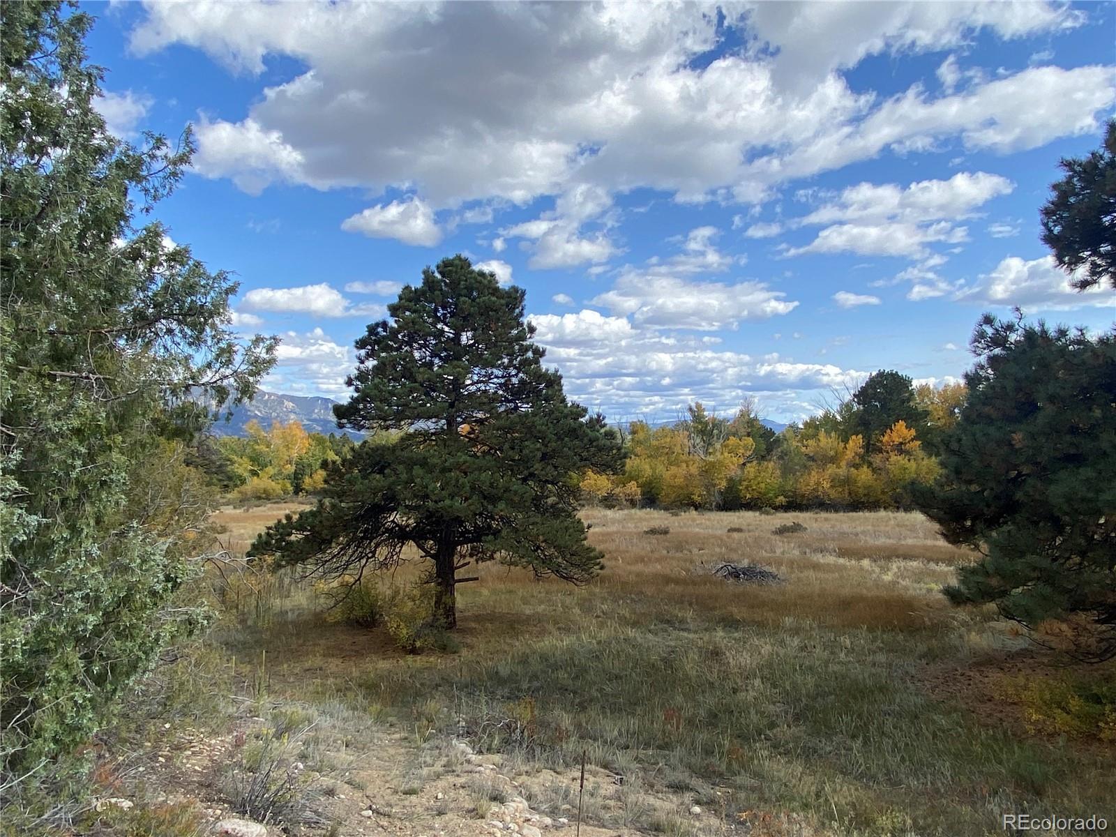 13300 County Road 261 M