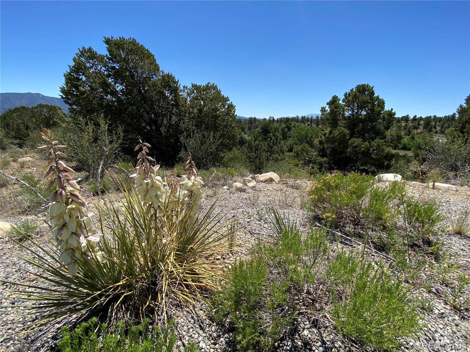 13300 County Road 261 M