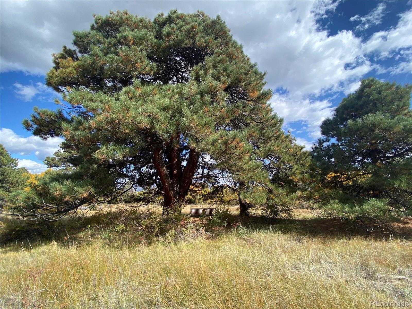 13300 County Road 261 M