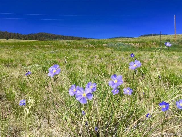 8093 Ranch Road