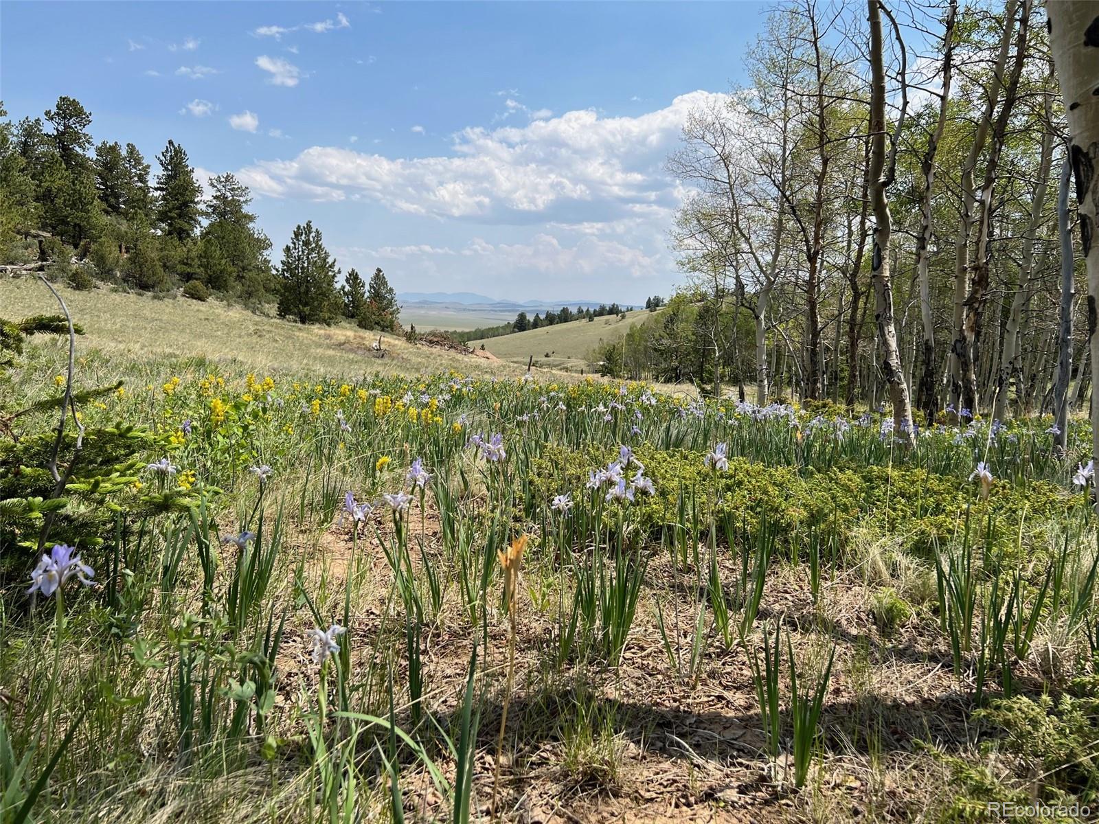 8093 Ranch Road