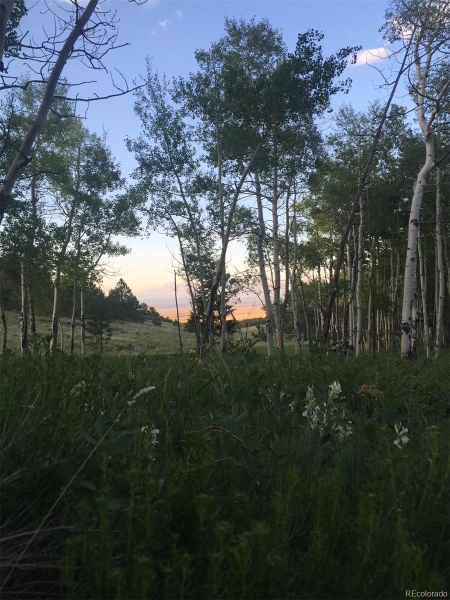 8093 Ranch Road