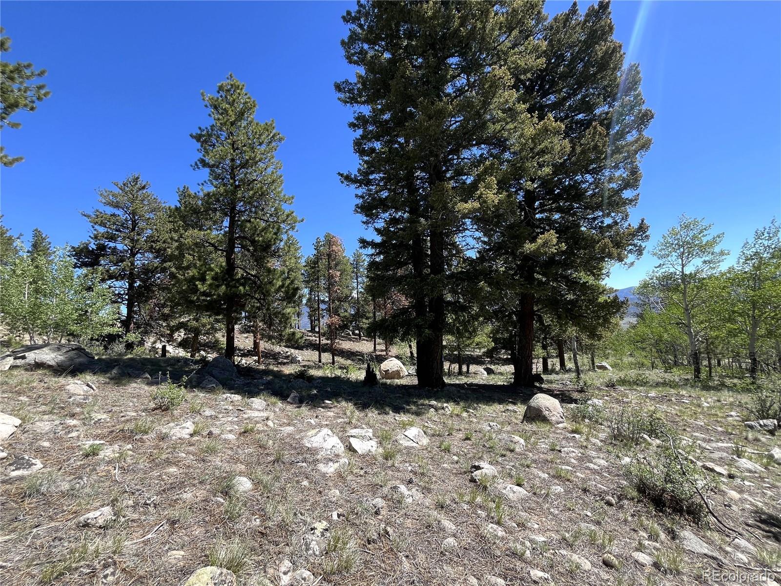 30179 Mountaintop Drive