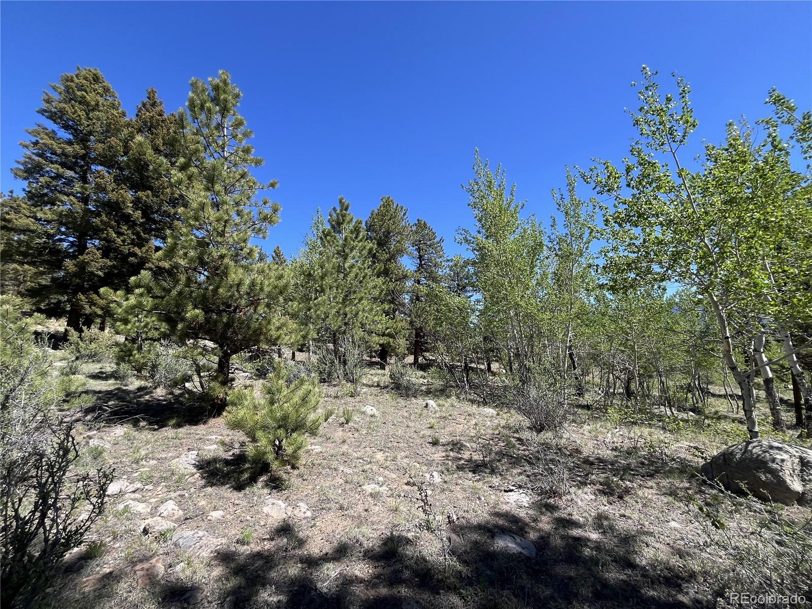 30179 Mountaintop Drive