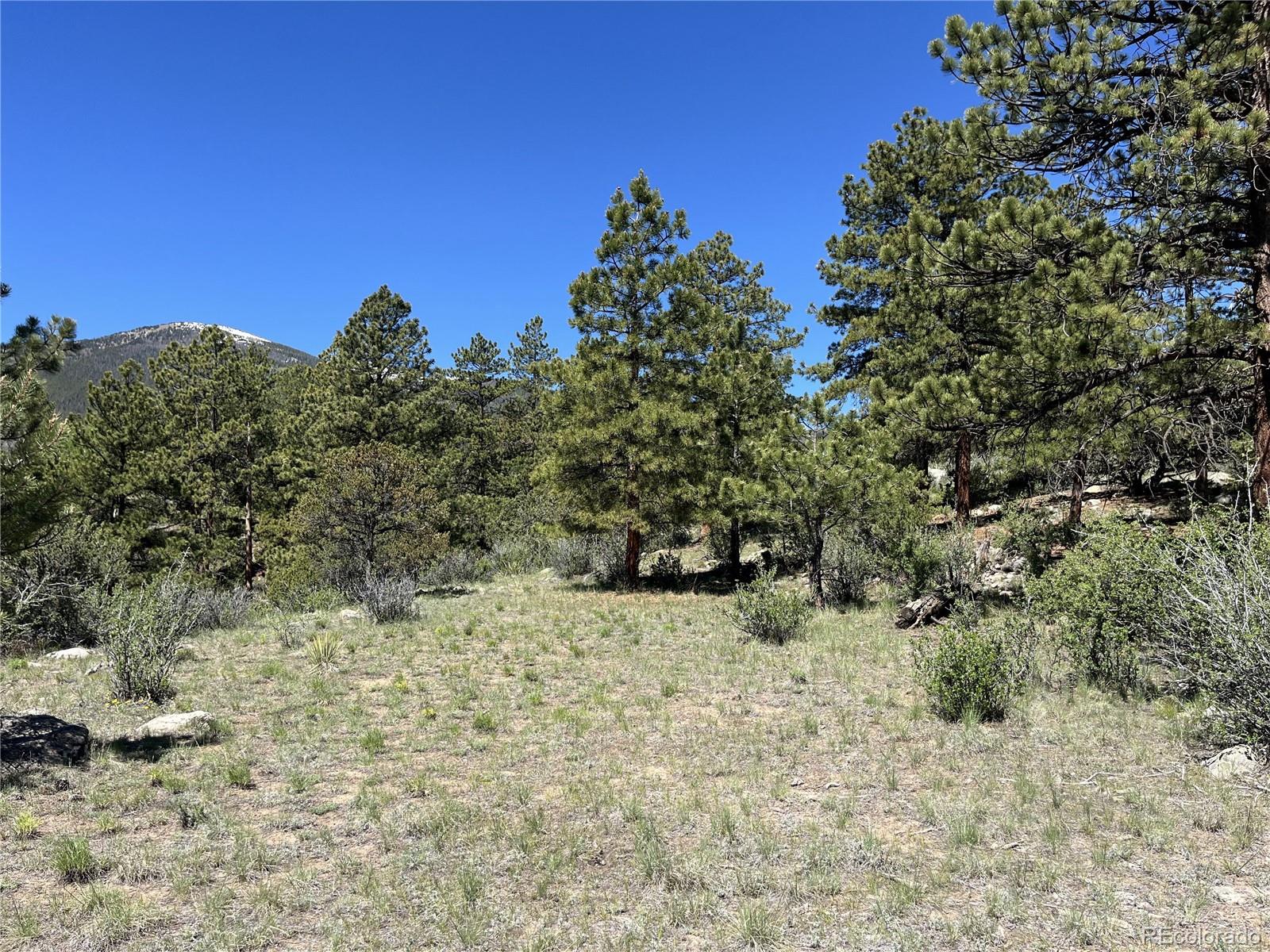 30179 Mountaintop Drive