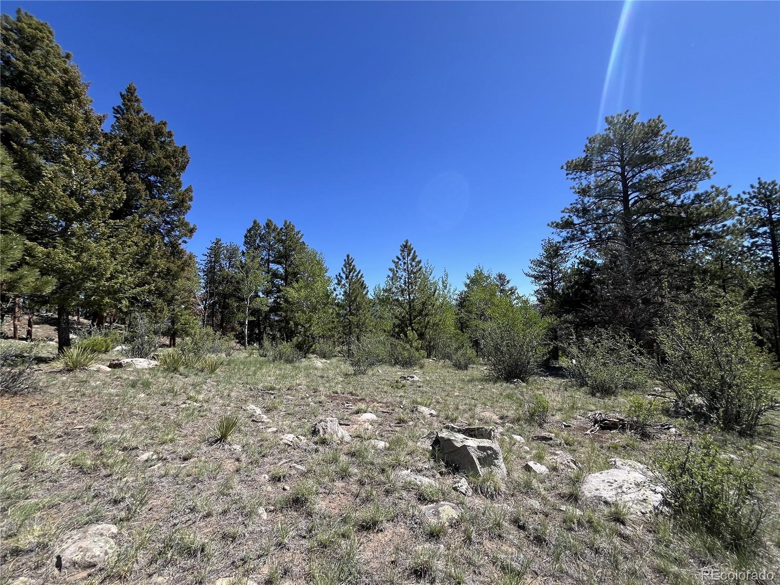 30179 Mountaintop Drive