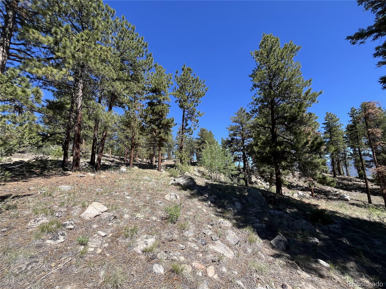 30179 Mountaintop Drive