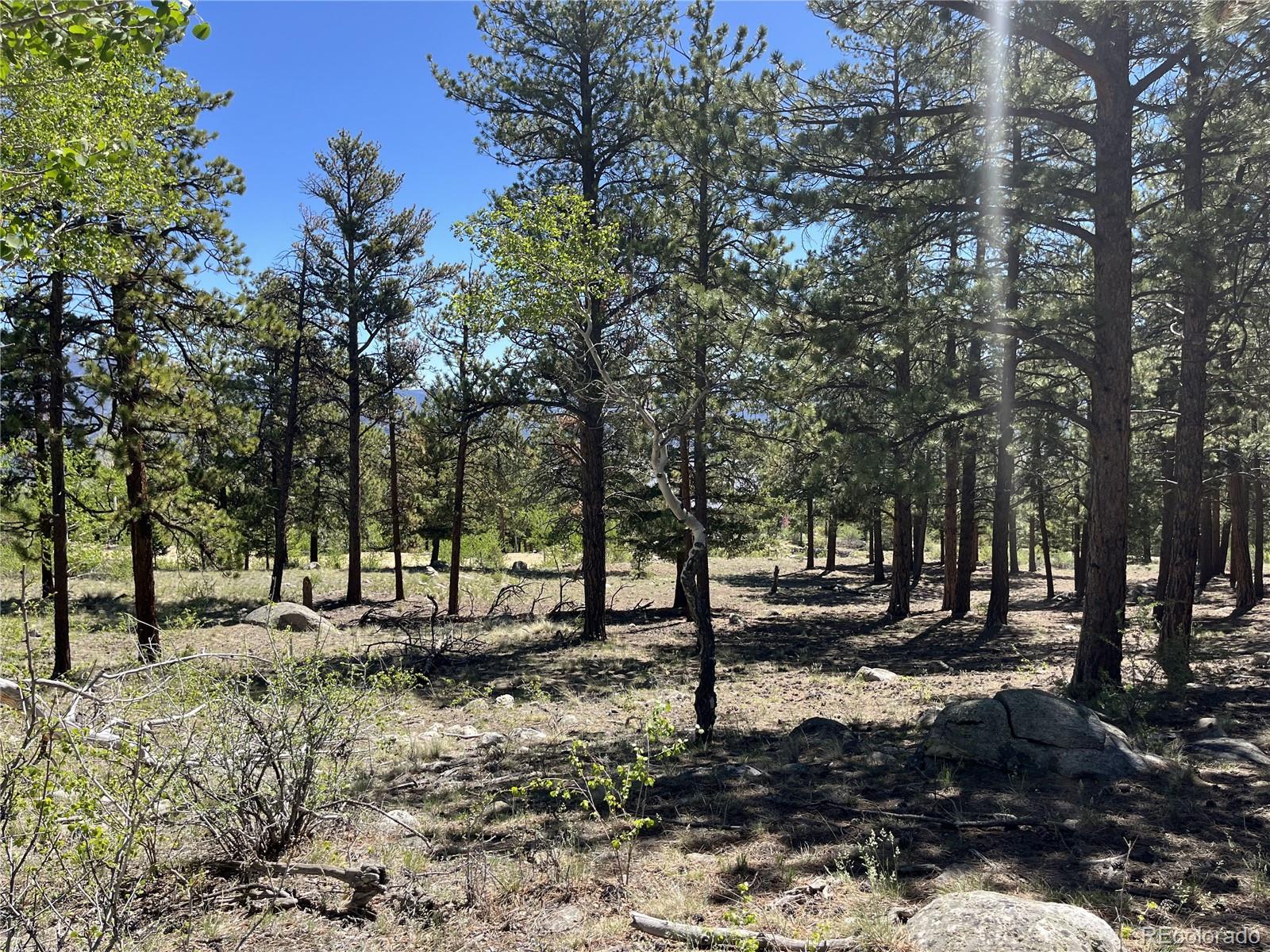 30179 Mountaintop Drive