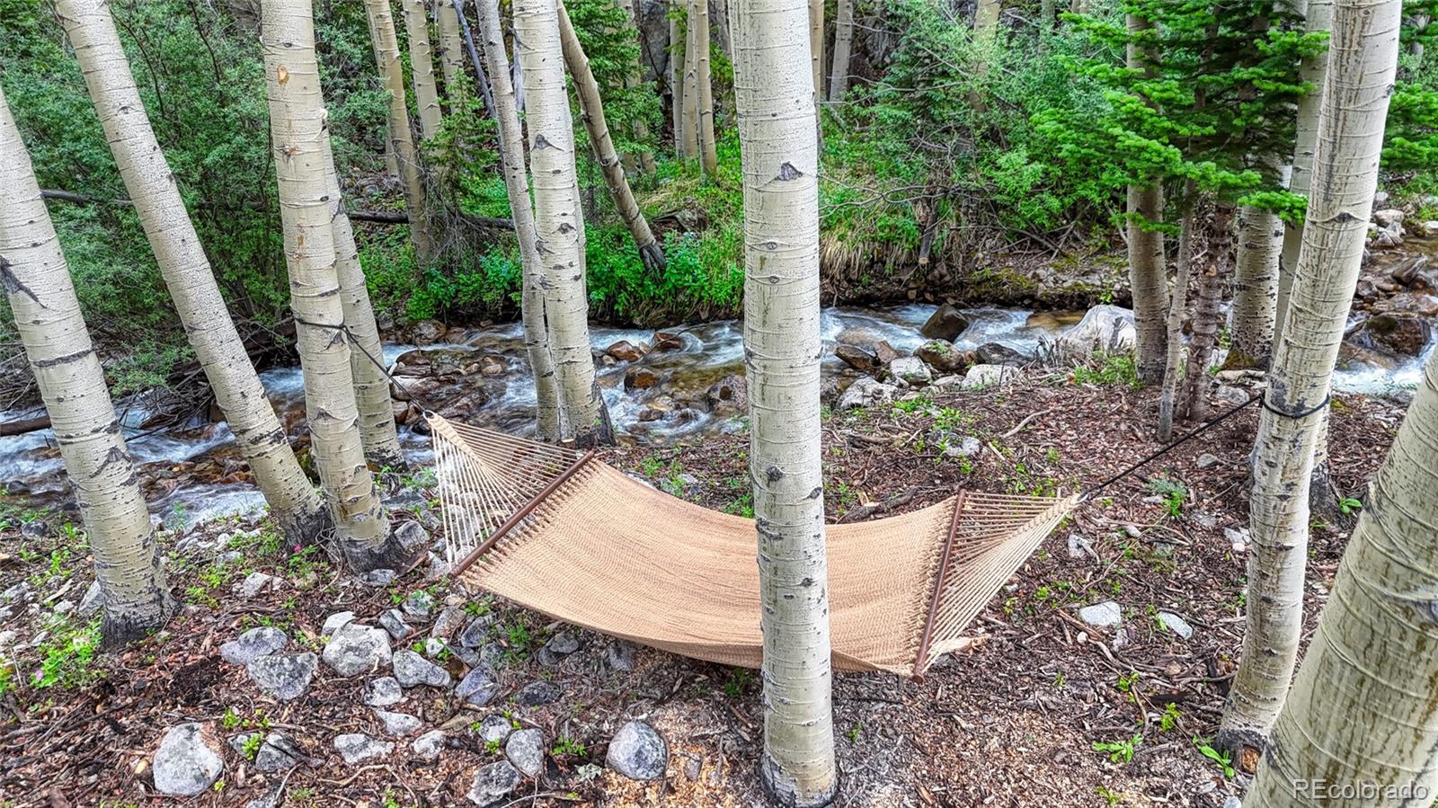 25735 County Road 295