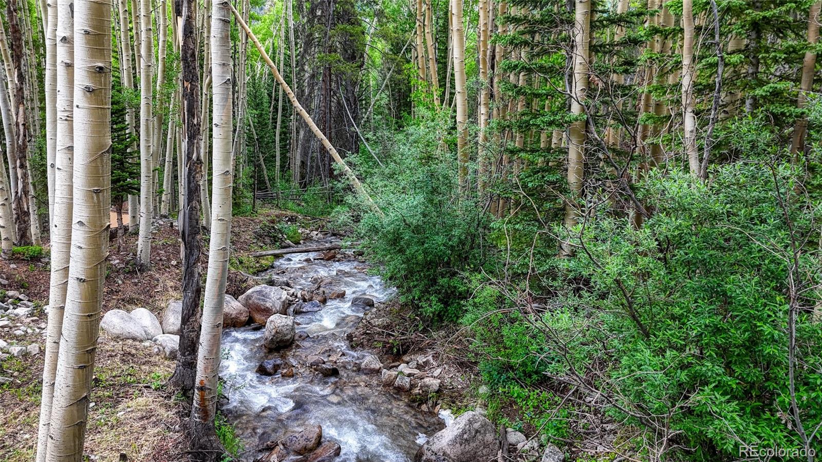 25735 County Road 295